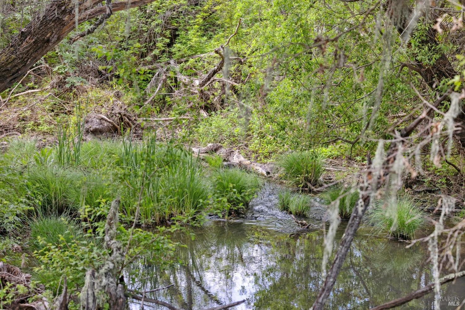 Detail Gallery Image 35 of 37 For 3048 Myrtledale Rd, Calistoga,  CA 94515 - 1 Beds | 1 Baths