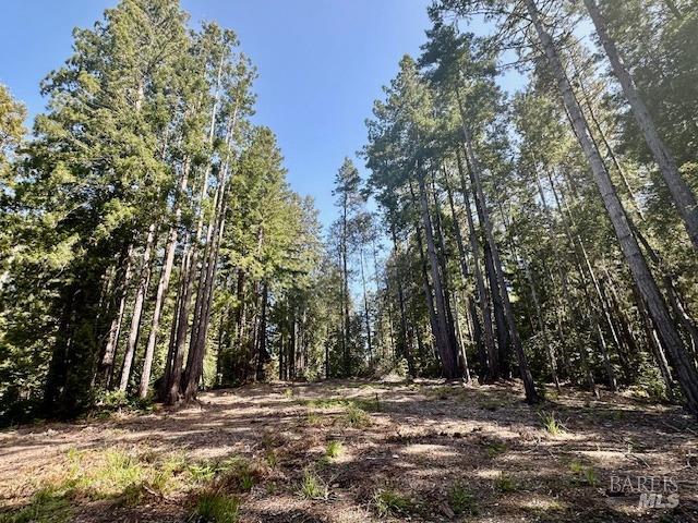 Detail Gallery Image 20 of 20 For 22096 Umland Cir, Jenner,  CA 95450 - – Beds | – Baths