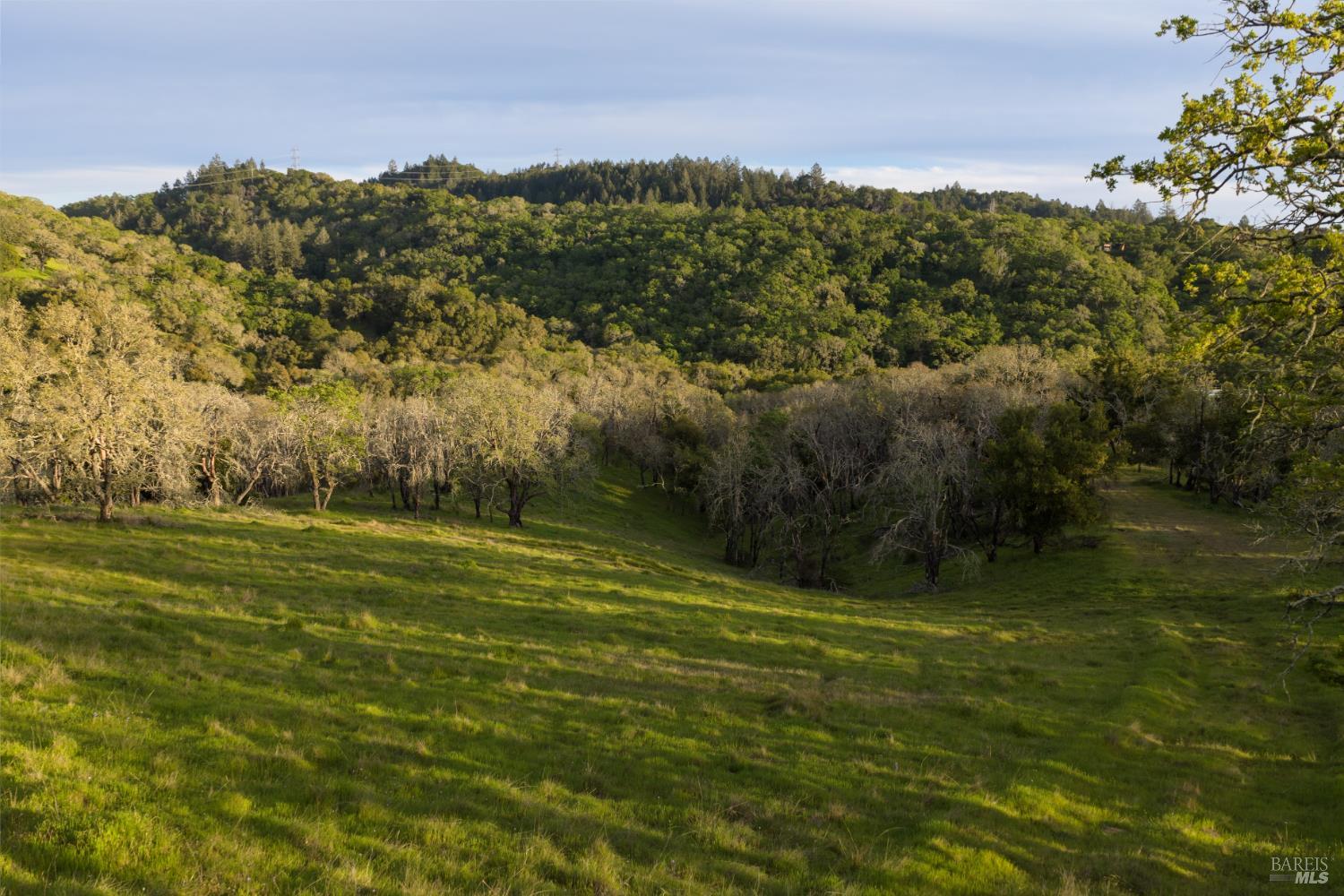 Detail Gallery Image 10 of 21 For 4801 Shiloh Ridge Rd, Santa Rosa,  CA 95402 - – Beds | – Baths