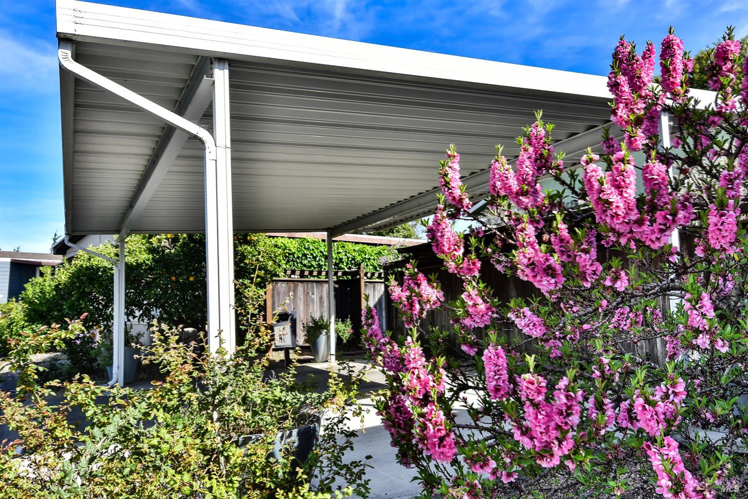 Detail Gallery Image 8 of 39 For 45 International Blvd, Sonoma,  CA 95476 - 2 Beds | 2 Baths