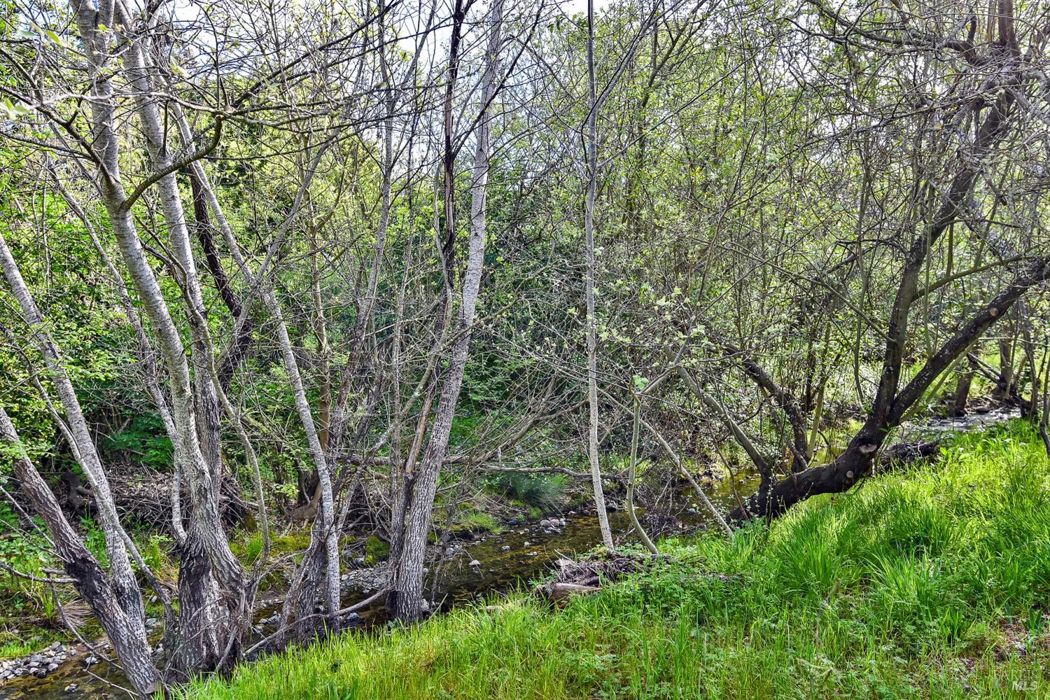 Detail Gallery Image 7 of 39 For 45 International Blvd, Sonoma,  CA 95476 - 2 Beds | 2 Baths