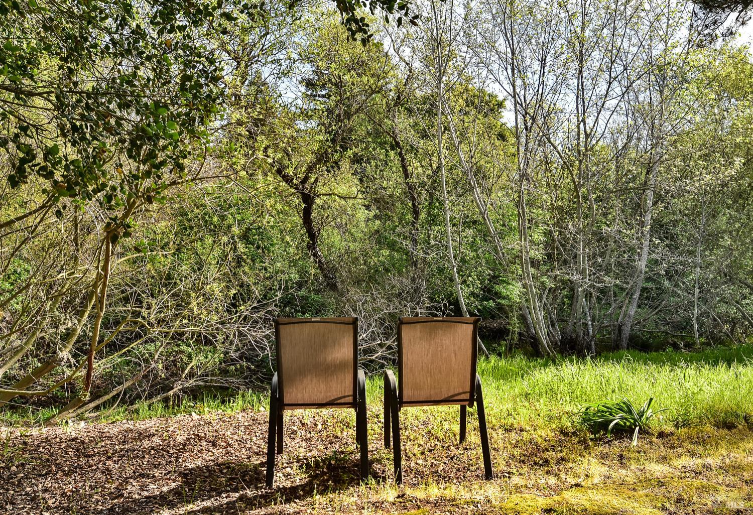 Detail Gallery Image 31 of 39 For 45 International Blvd, Sonoma,  CA 95476 - 2 Beds | 2 Baths