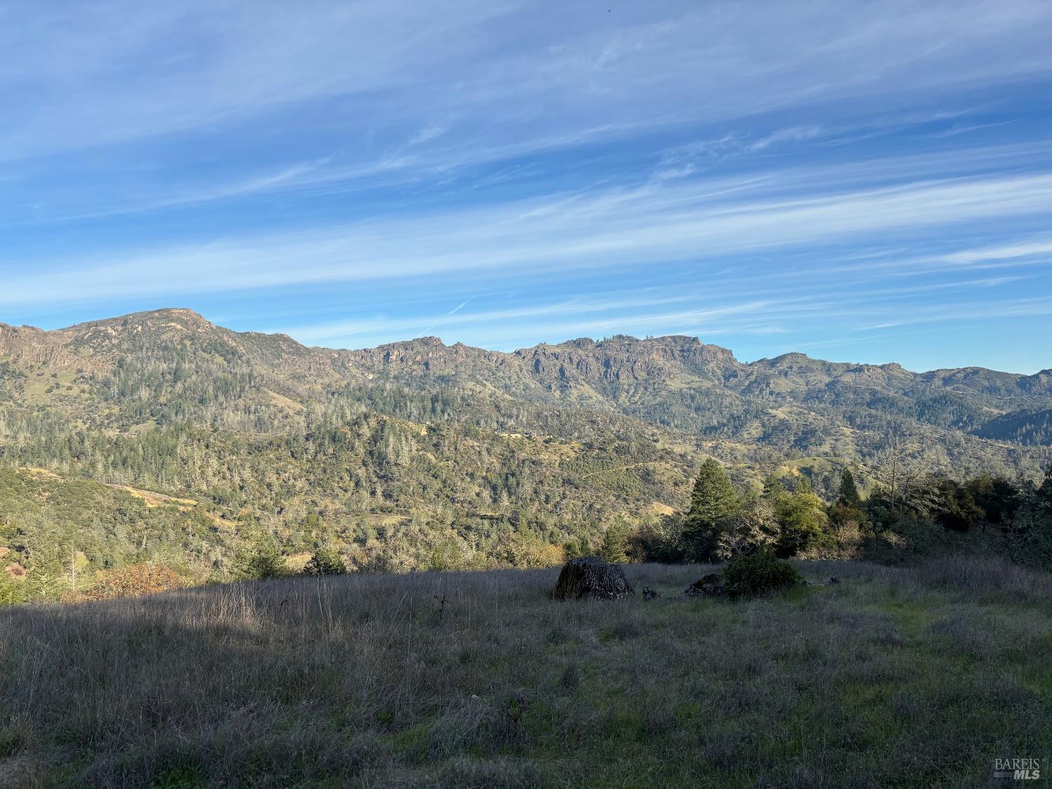 Detail Gallery Image 3 of 8 For 3941 Lake County Hwy, Calistoga,  CA 94515 - – Beds | – Baths