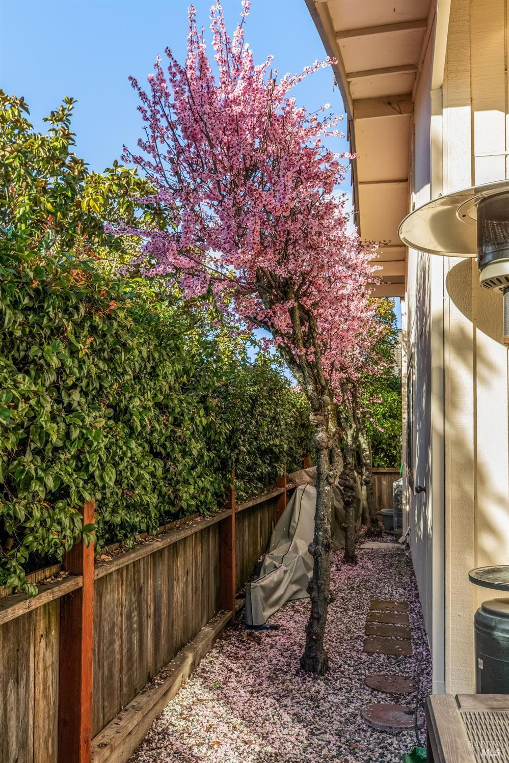 Detail Gallery Image 48 of 50 For 920 5th St #D,  Sonoma,  CA 95476 - 2 Beds | 2 Baths