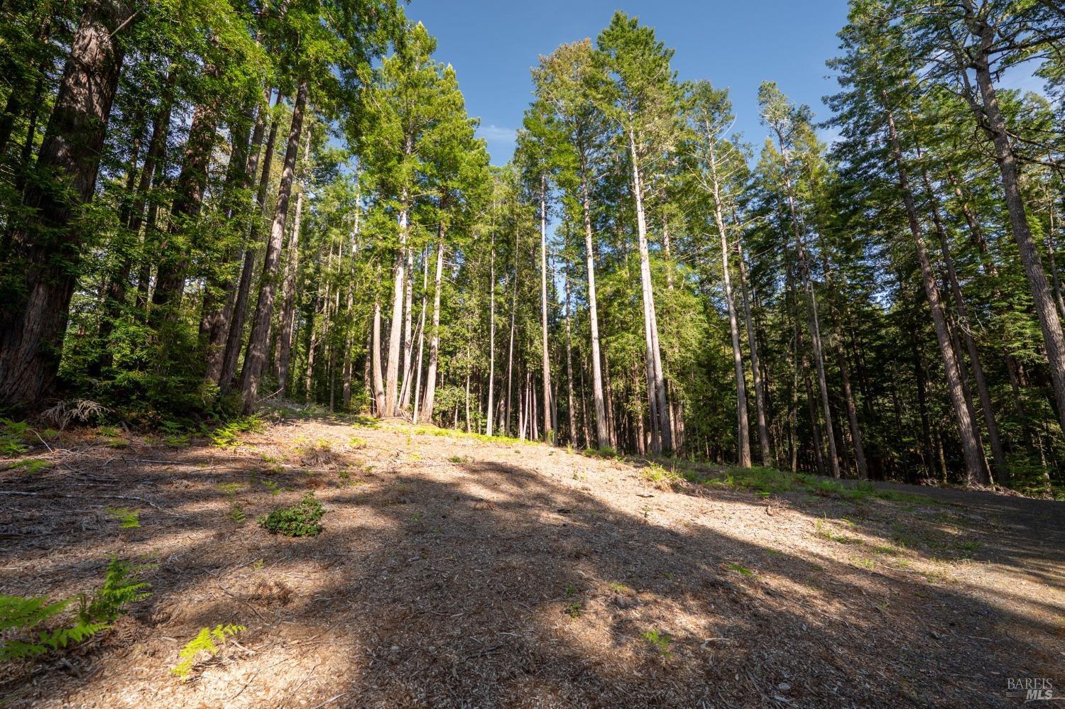 Detail Gallery Image 10 of 20 For 22096 Umland Cir, Jenner,  CA 95450 - – Beds | – Baths