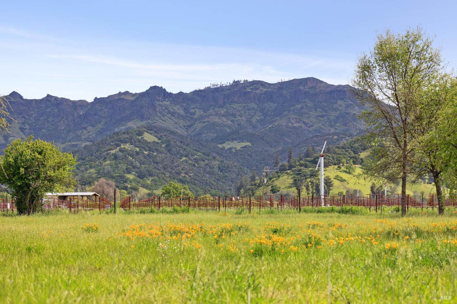 Detail Gallery Image 33 of 37 For 3048 Myrtledale Rd, Calistoga,  CA 94515 - 1 Beds | 1 Baths