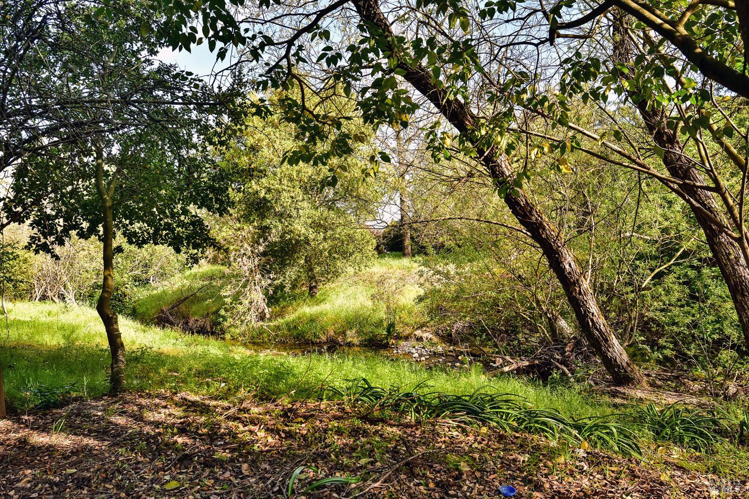 Detail Gallery Image 6 of 39 For 45 International Blvd, Sonoma,  CA 95476 - 2 Beds | 2 Baths