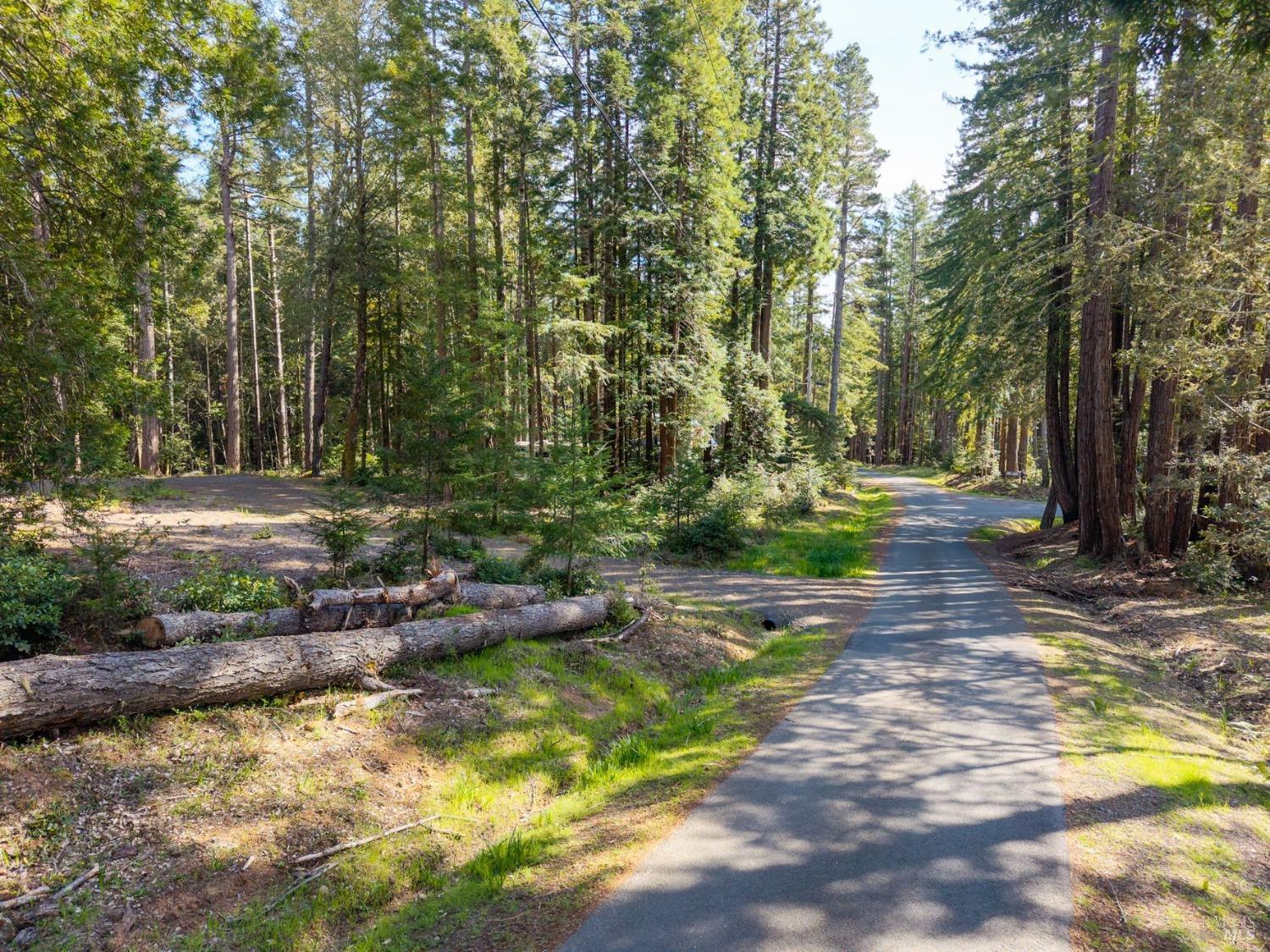 Detail Gallery Image 8 of 20 For 22096 Umland Cir, Jenner,  CA 95450 - – Beds | – Baths