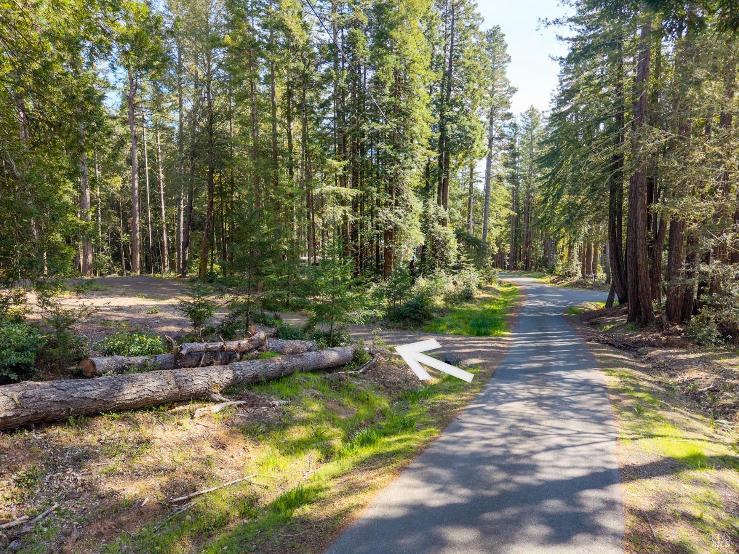 Detail Gallery Image 7 of 20 For 22096 Umland Cir, Jenner,  CA 95450 - – Beds | – Baths