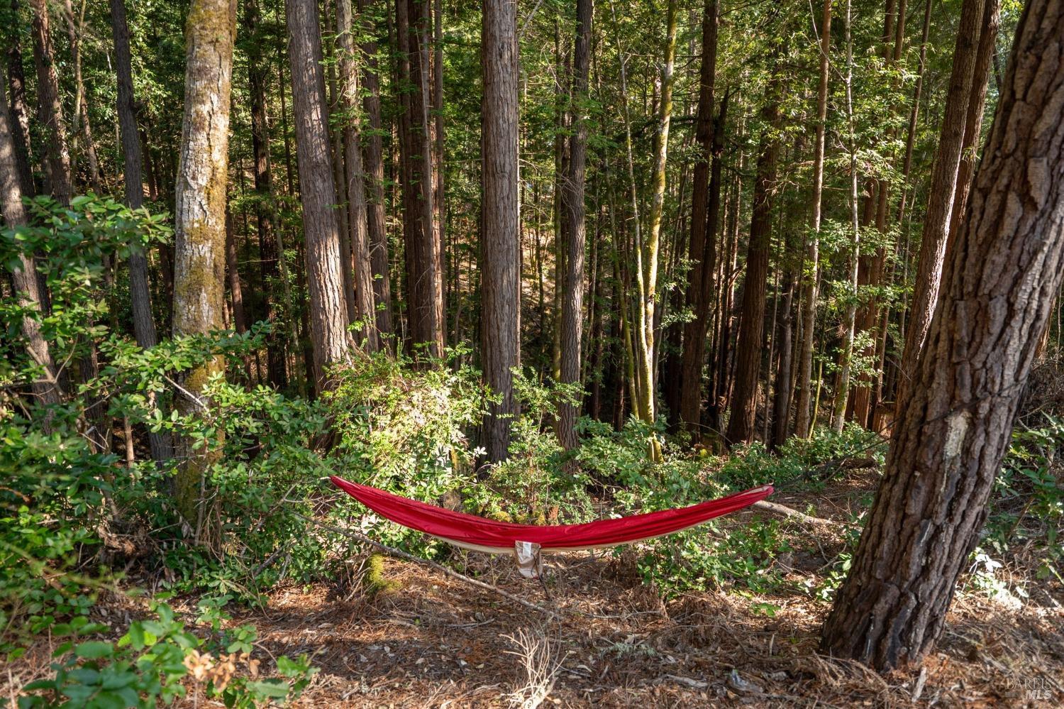 Detail Gallery Image 16 of 20 For 22096 Umland Cir, Jenner,  CA 95450 - – Beds | – Baths