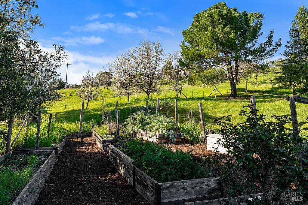 Detail Gallery Image 49 of 55 For 23121 Vineyard Rd, Geyserville,  CA 95441 - 3 Beds | 2 Baths