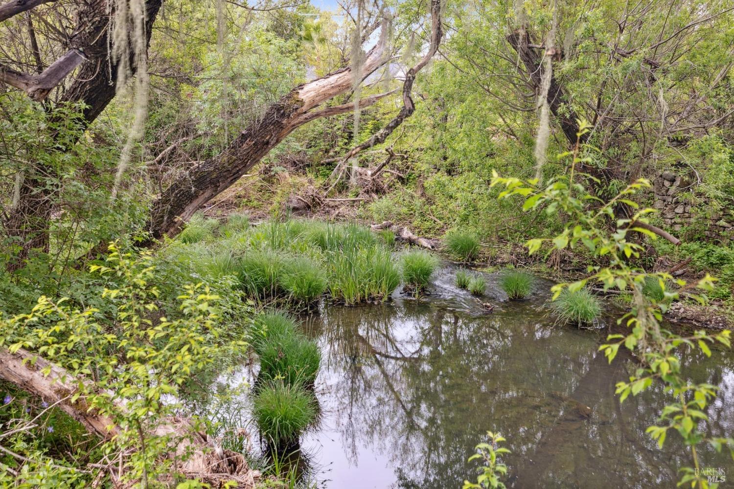 Detail Gallery Image 34 of 37 For 3048 Myrtledale Rd, Calistoga,  CA 94515 - 1 Beds | 1 Baths