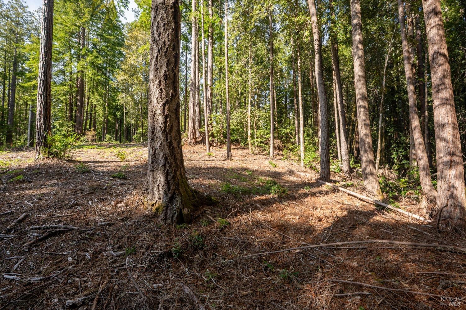 Detail Gallery Image 14 of 20 For 22096 Umland Cir, Jenner,  CA 95450 - – Beds | – Baths