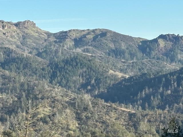 Detail Gallery Image 4 of 8 For 3941 Lake County Hwy, Calistoga,  CA 94515 - – Beds | – Baths