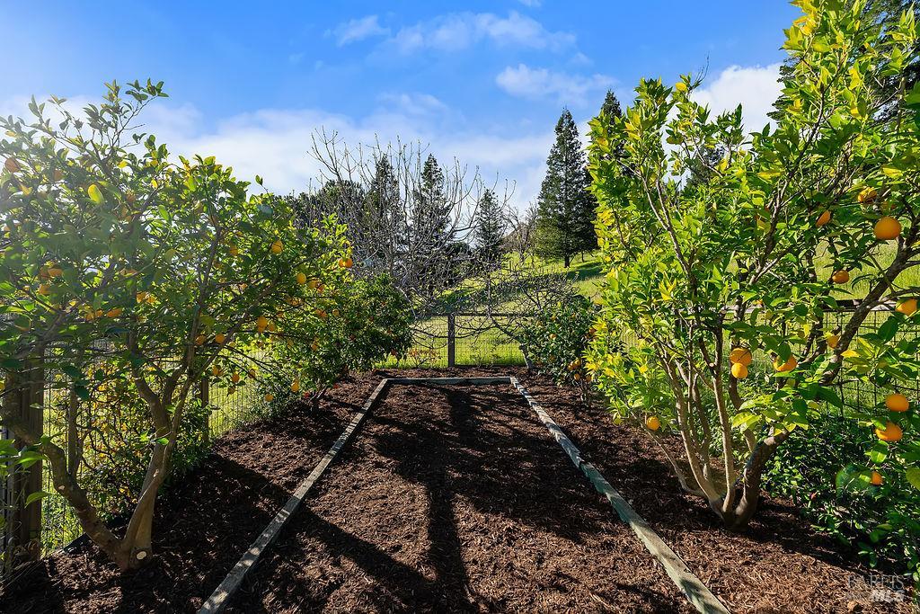 Detail Gallery Image 50 of 55 For 23121 Vineyard Rd, Geyserville,  CA 95441 - 3 Beds | 2 Baths