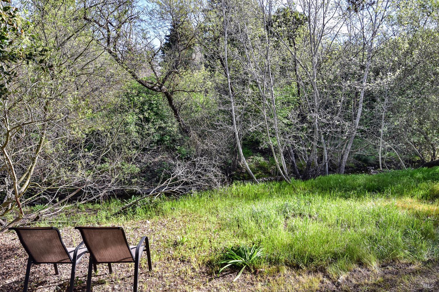 Detail Gallery Image 30 of 39 For 45 International Blvd, Sonoma,  CA 95476 - 2 Beds | 2 Baths