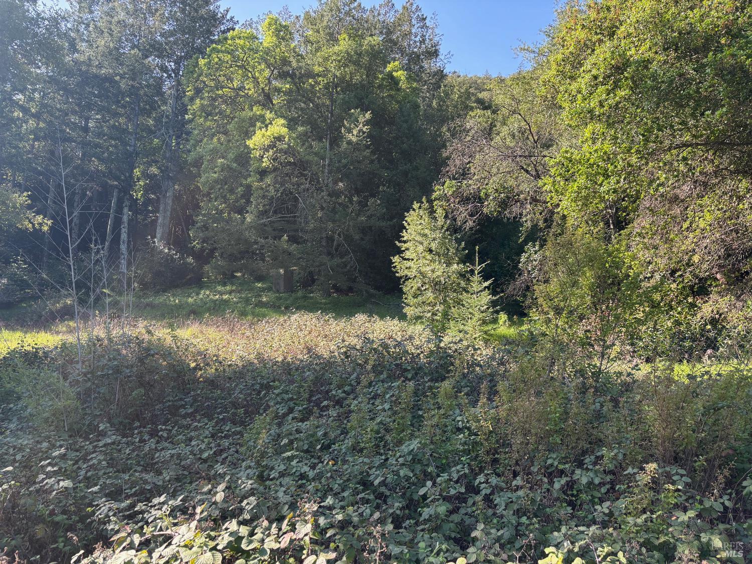 Detail Gallery Image 5 of 8 For 3941 Lake County Hwy, Calistoga,  CA 94515 - – Beds | – Baths