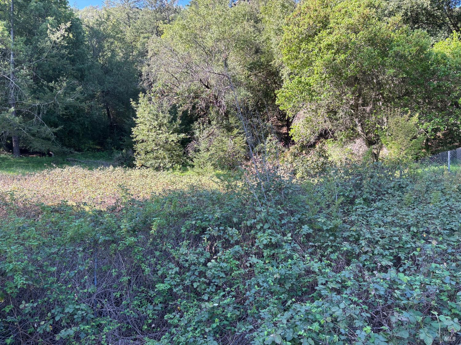 Detail Gallery Image 7 of 8 For 3941 Lake County Hwy, Calistoga,  CA 94515 - – Beds | – Baths