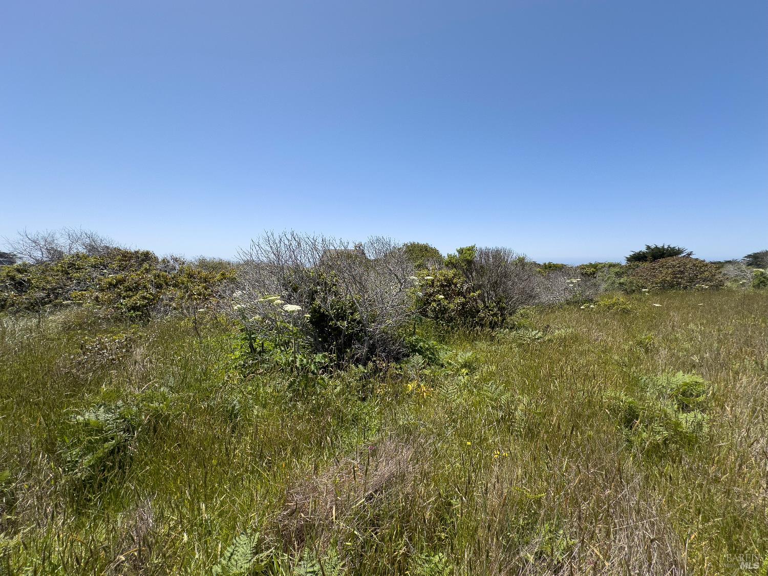 Detail Gallery Image 18 of 18 For 56 Sea Meadow Dr, The Sea Ranch,  CA 95497 - – Beds | – Baths