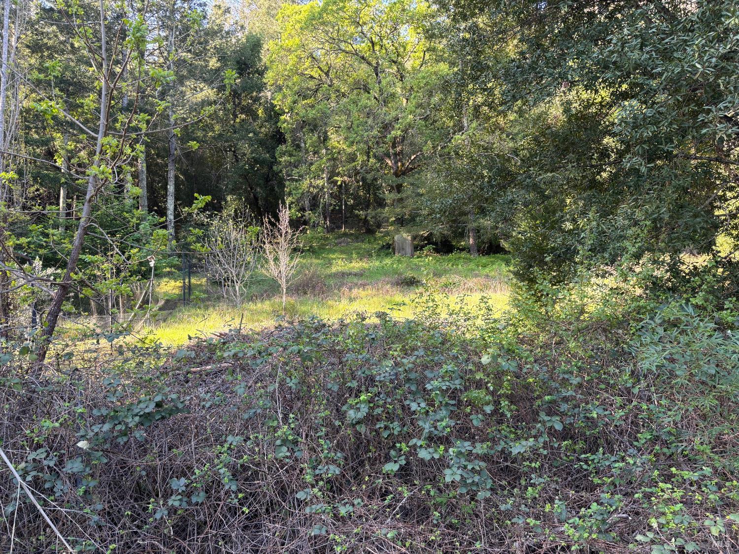 Detail Gallery Image 8 of 8 For 3941 Lake County Hwy, Calistoga,  CA 94515 - – Beds | – Baths