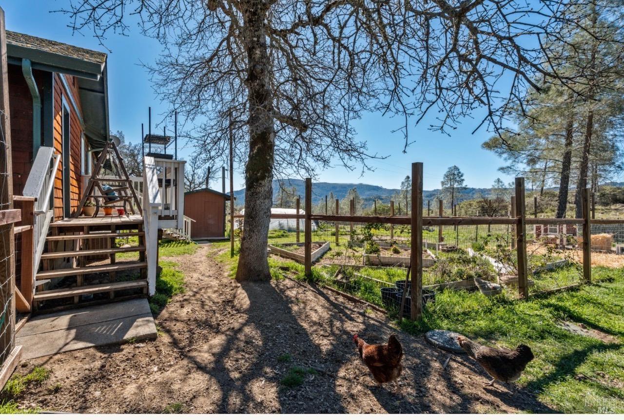 Detail Gallery Image 20 of 28 For 12800 Bottle Rock Rd, Kelseyville,  CA 95451 - 2 Beds | 1 Baths