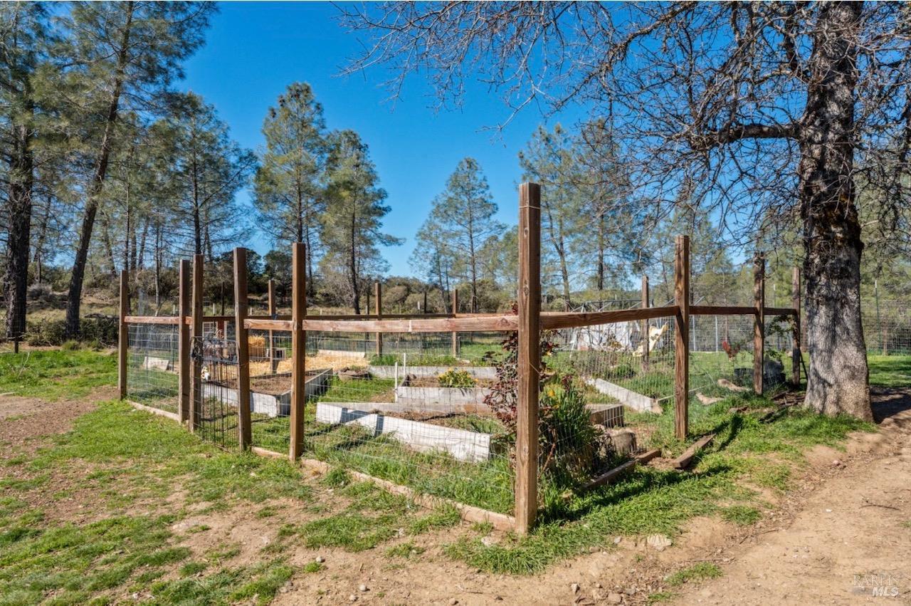 Detail Gallery Image 21 of 28 For 12800 Bottle Rock Rd, Kelseyville,  CA 95451 - 2 Beds | 1 Baths