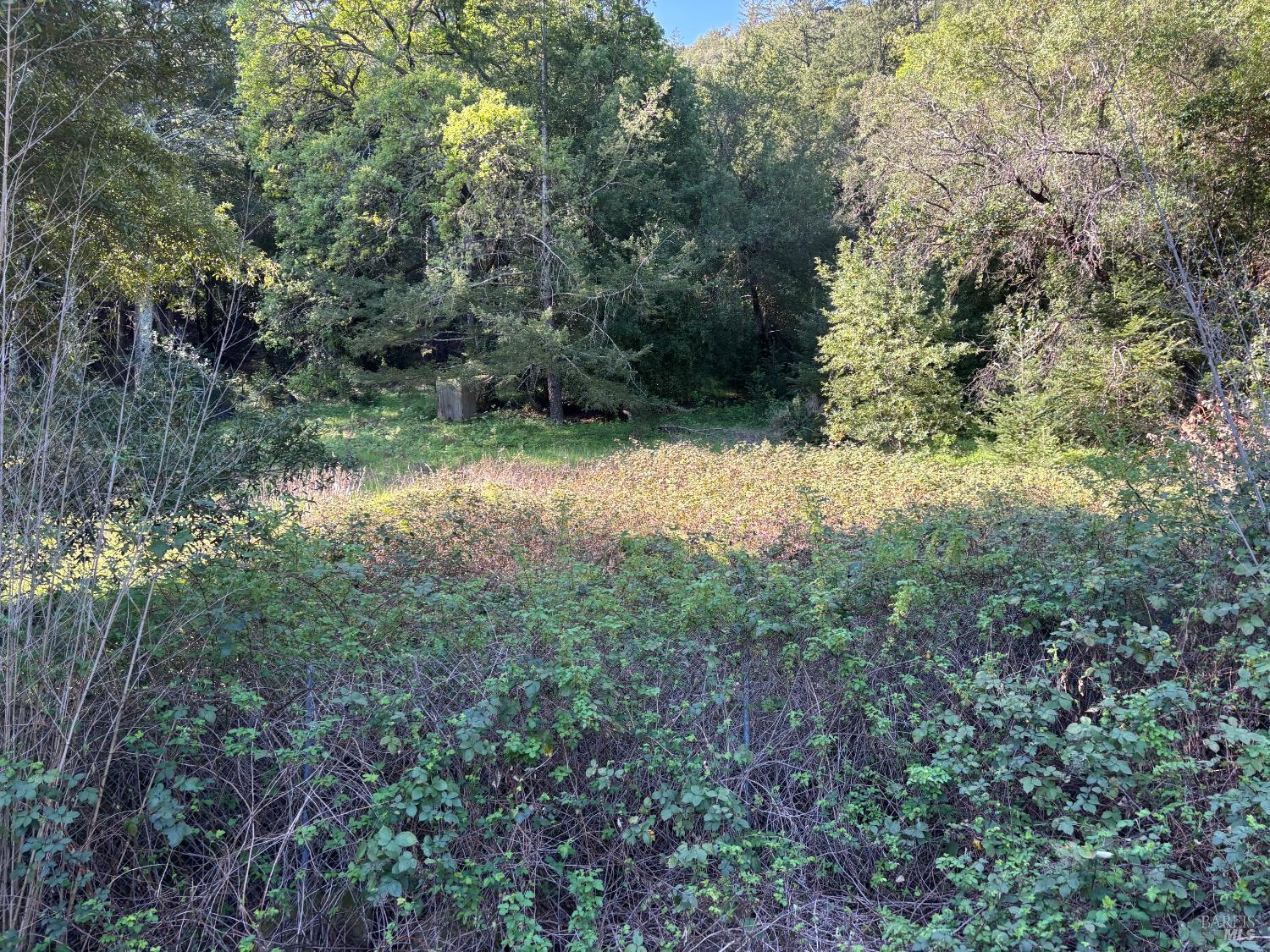 Detail Gallery Image 6 of 8 For 3941 Lake County Hwy, Calistoga,  CA 94515 - – Beds | – Baths