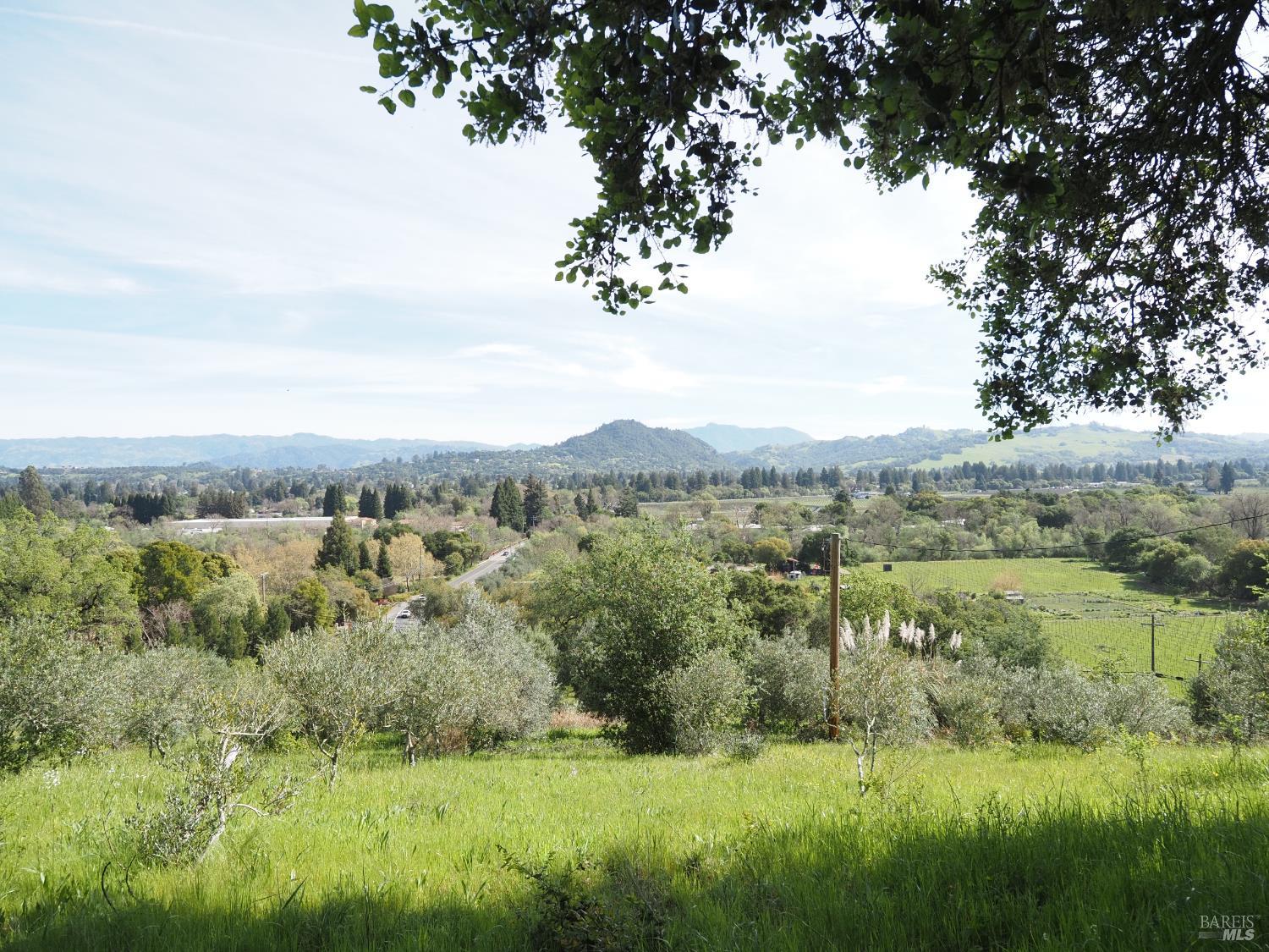 Detail Gallery Image 8 of 19 For 1077 Westside Rd, Healdsburg,  CA 95448 - – Beds | – Baths