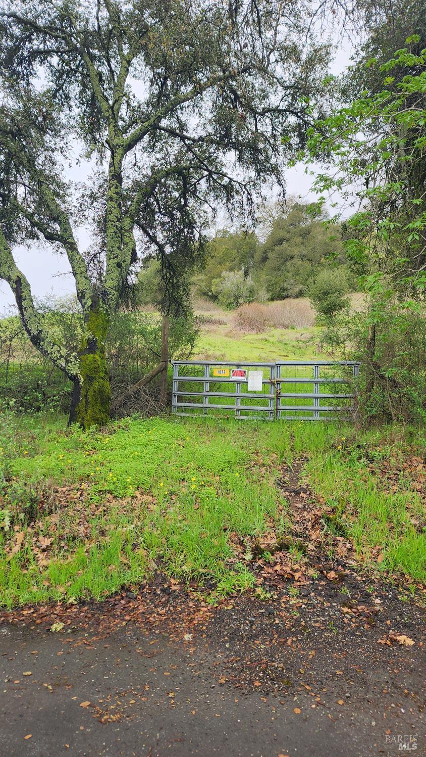 Detail Gallery Image 16 of 19 For 1077 Westside Rd, Healdsburg,  CA 95448 - – Beds | – Baths