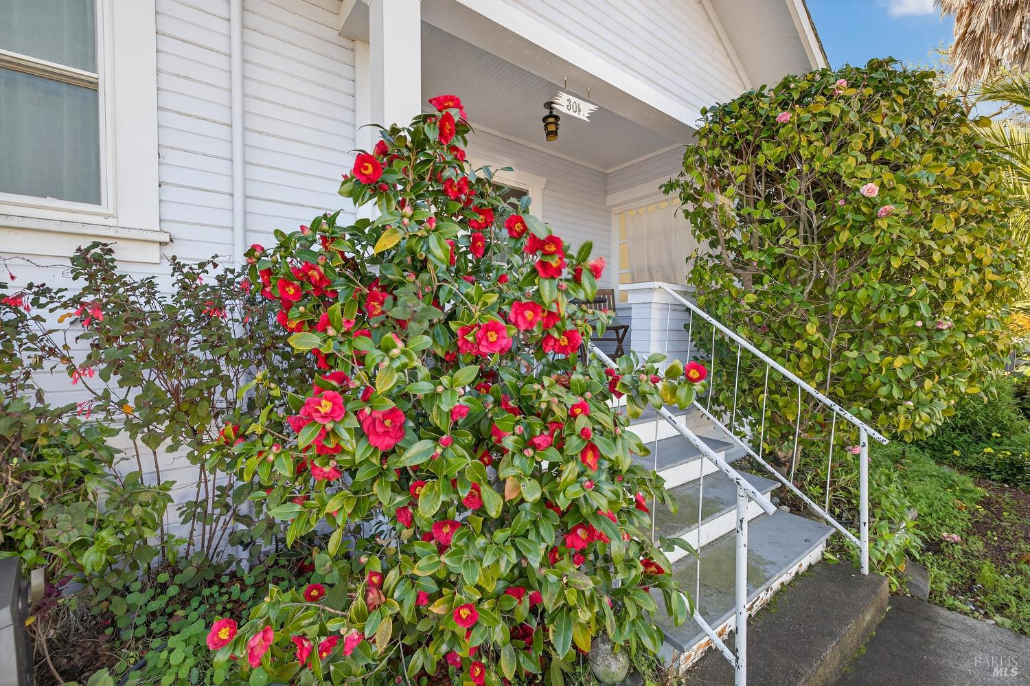 Detail Gallery Image 5 of 60 For 301 Broadway St, Petaluma,  CA 94952 - 2 Beds | 2 Baths