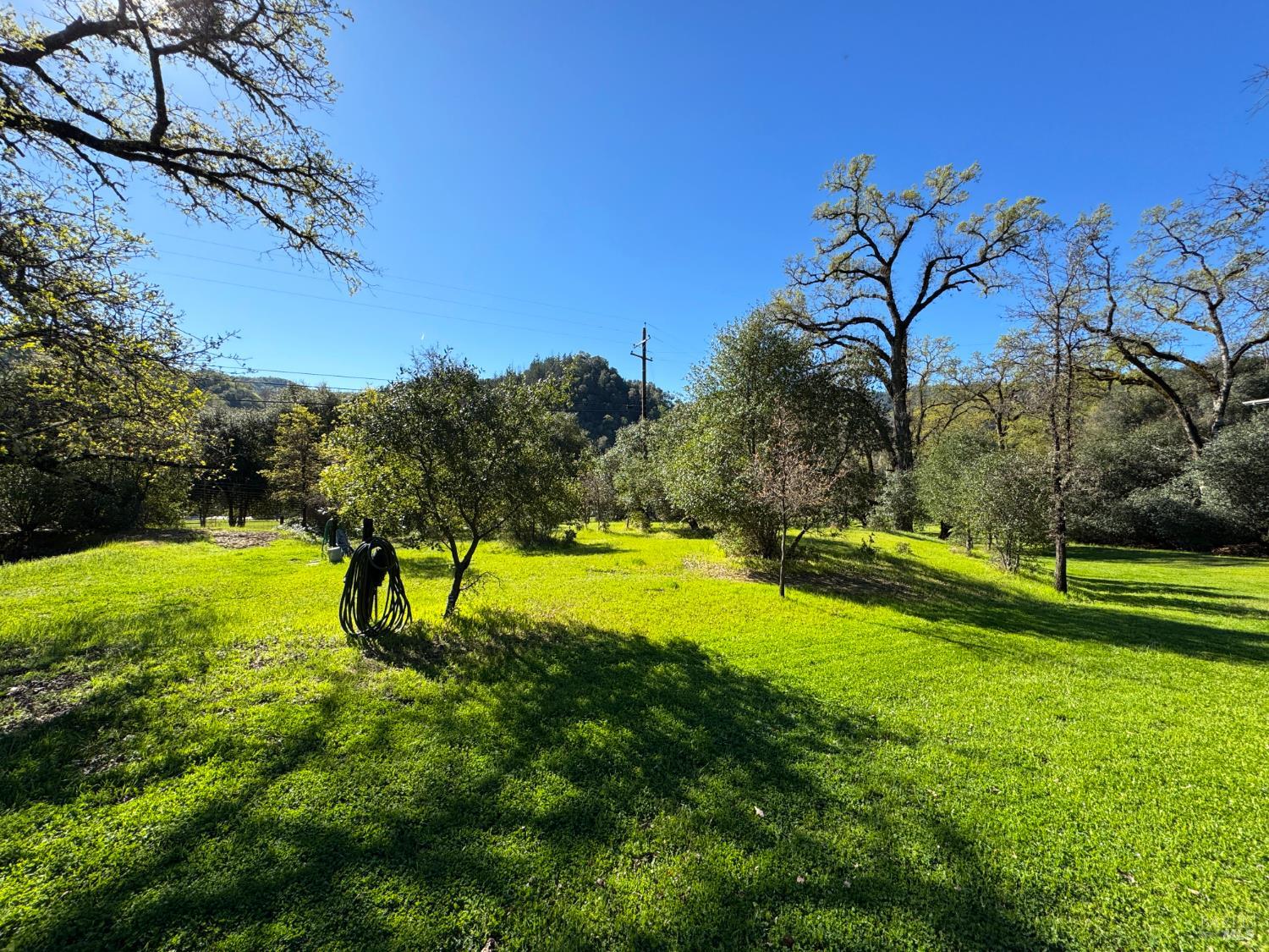 Detail Gallery Image 58 of 89 For 1800 Boonville Rd, Ukiah,  CA 95482 - 5 Beds | 4/1 Baths