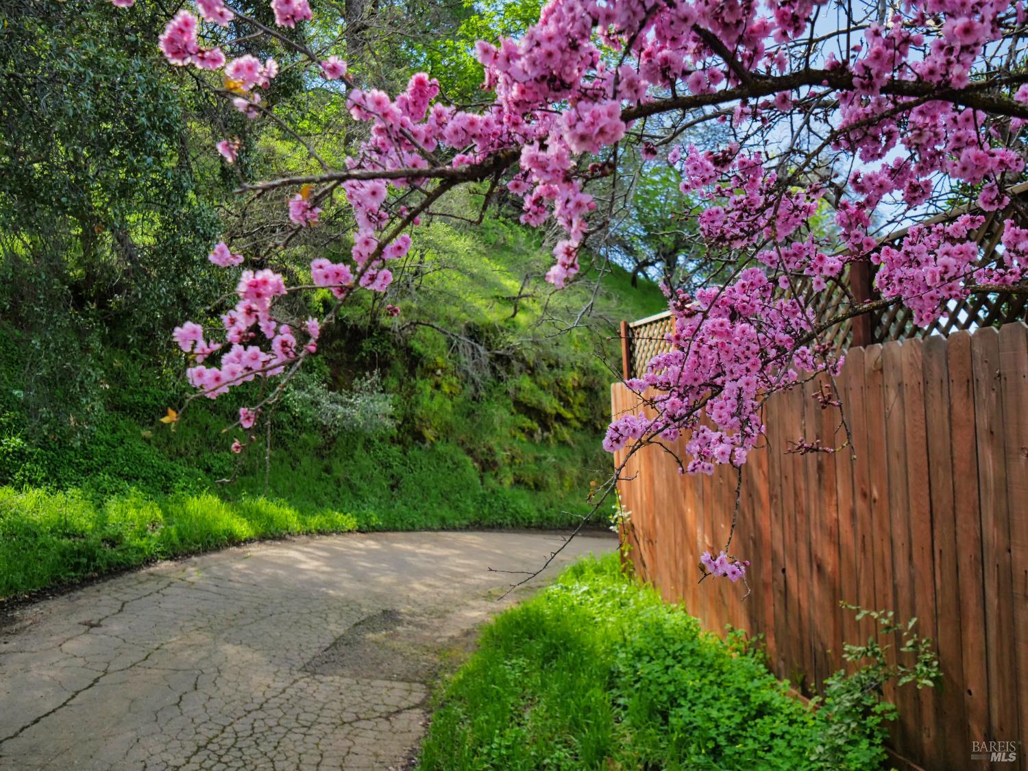 Detail Gallery Image 65 of 79 For 11485 Lakeshore Dr, Clearlake,  CA 95422 - 3 Beds | 1 Baths