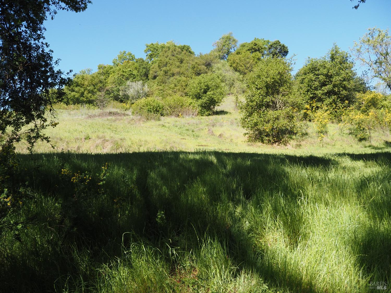 Detail Gallery Image 9 of 19 For 1077 Westside Rd, Healdsburg,  CA 95448 - – Beds | – Baths