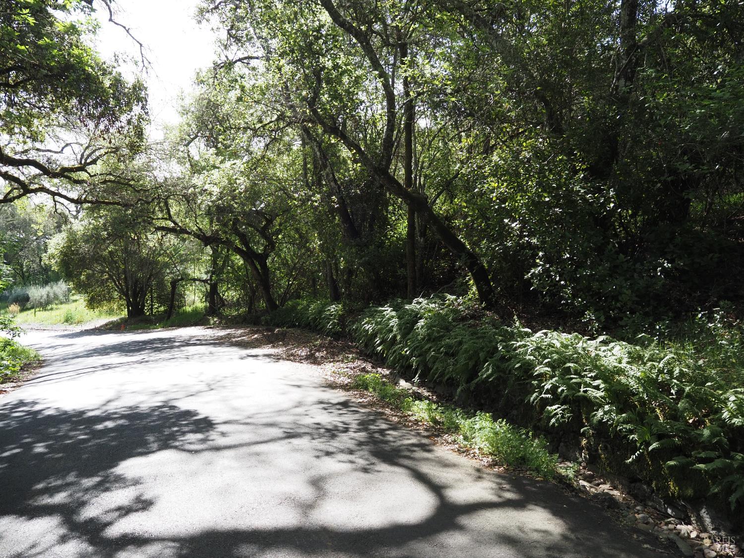 Detail Gallery Image 15 of 19 For 1077 Westside Rd, Healdsburg,  CA 95448 - – Beds | – Baths