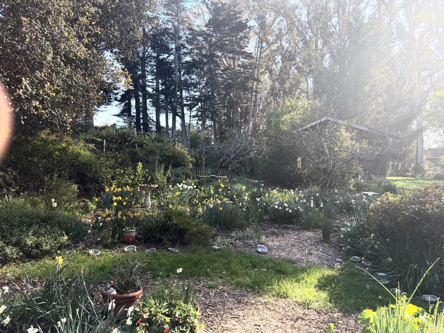 Detail Gallery Image 56 of 56 For 7 Linsdale Ln, Point Reyes Station,  CA 94956 - 3 Beds | 2 Baths