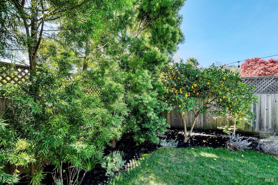 Detail Gallery Image 34 of 39 For 34 Diane Ln, Larkspur,  CA 94939 - 4 Beds | 3 Baths