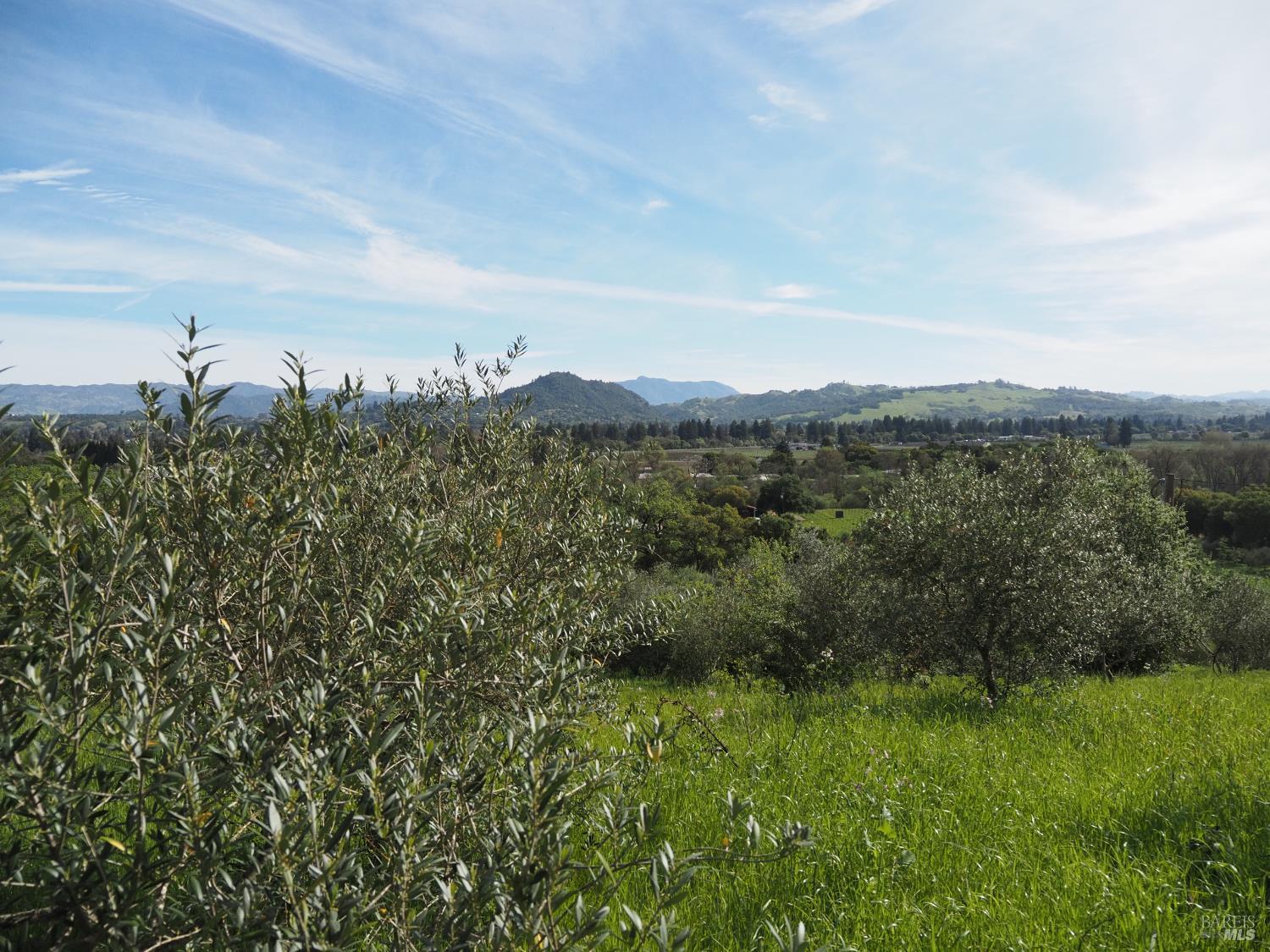 Detail Gallery Image 12 of 19 For 1077 Westside Rd, Healdsburg,  CA 95448 - – Beds | – Baths