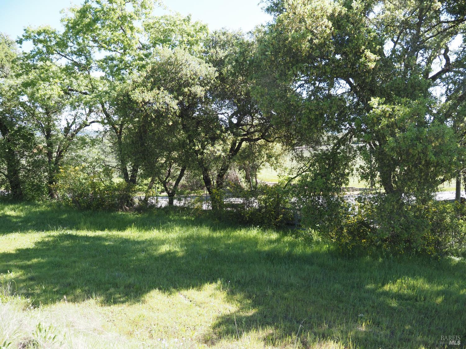 Detail Gallery Image 14 of 19 For 1077 Westside Rd, Healdsburg,  CA 95448 - – Beds | – Baths