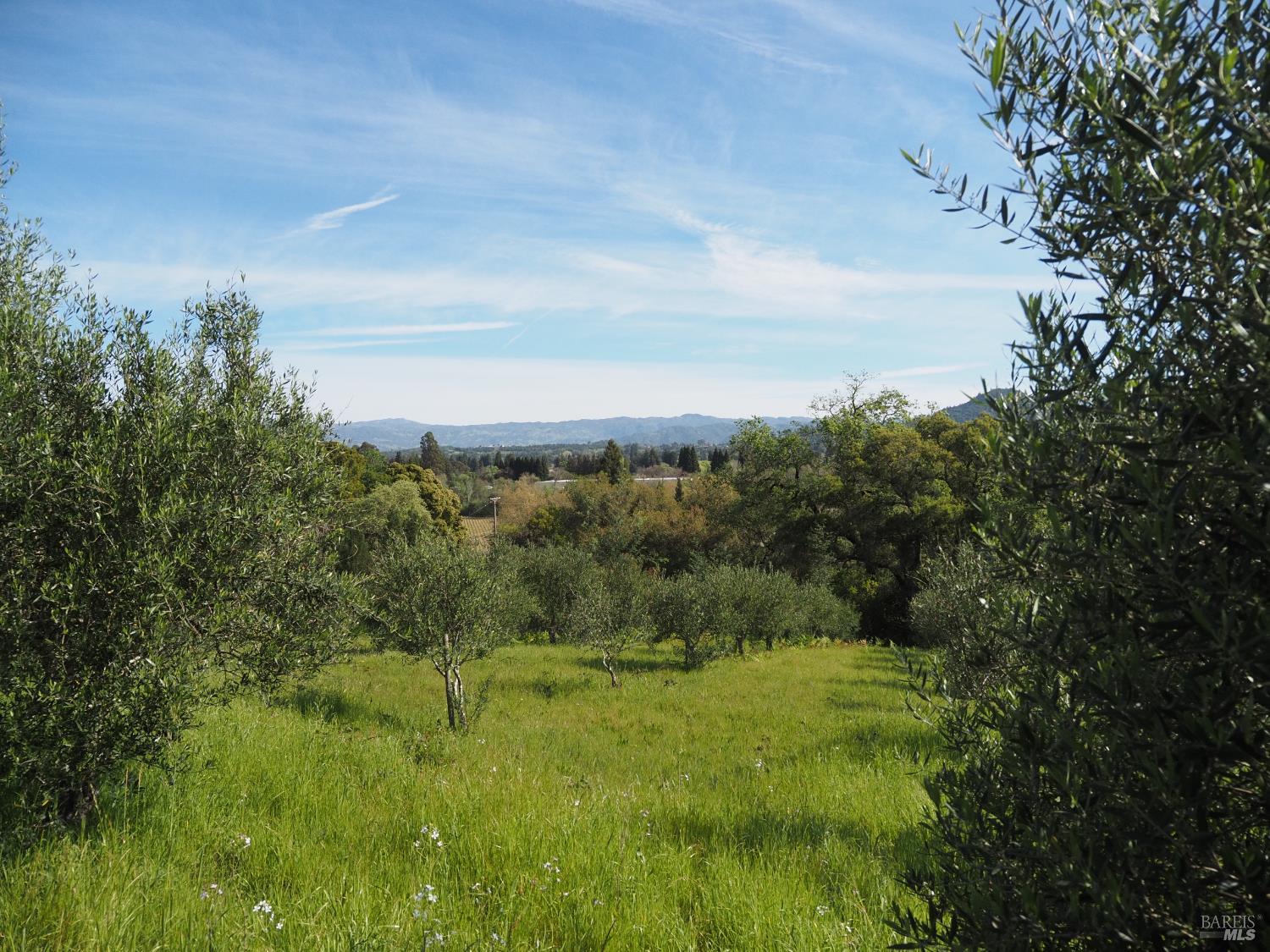 Detail Gallery Image 11 of 19 For 1077 Westside Rd, Healdsburg,  CA 95448 - – Beds | – Baths