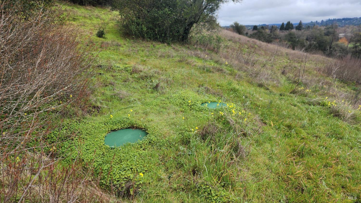 Detail Gallery Image 13 of 19 For 1077 Westside Rd, Healdsburg,  CA 95448 - – Beds | – Baths