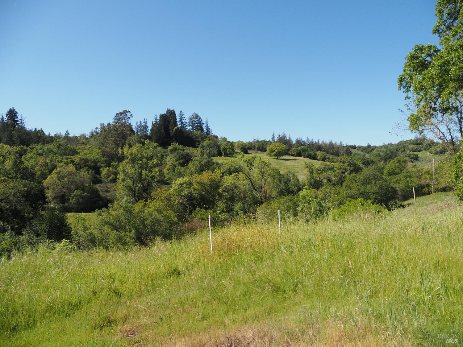 Detail Gallery Image 3 of 19 For 1077 Westside Rd, Healdsburg,  CA 95448 - – Beds | – Baths