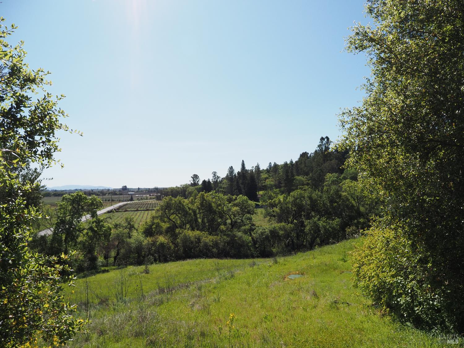 Detail Gallery Image 10 of 19 For 1077 Westside Rd, Healdsburg,  CA 95448 - – Beds | – Baths