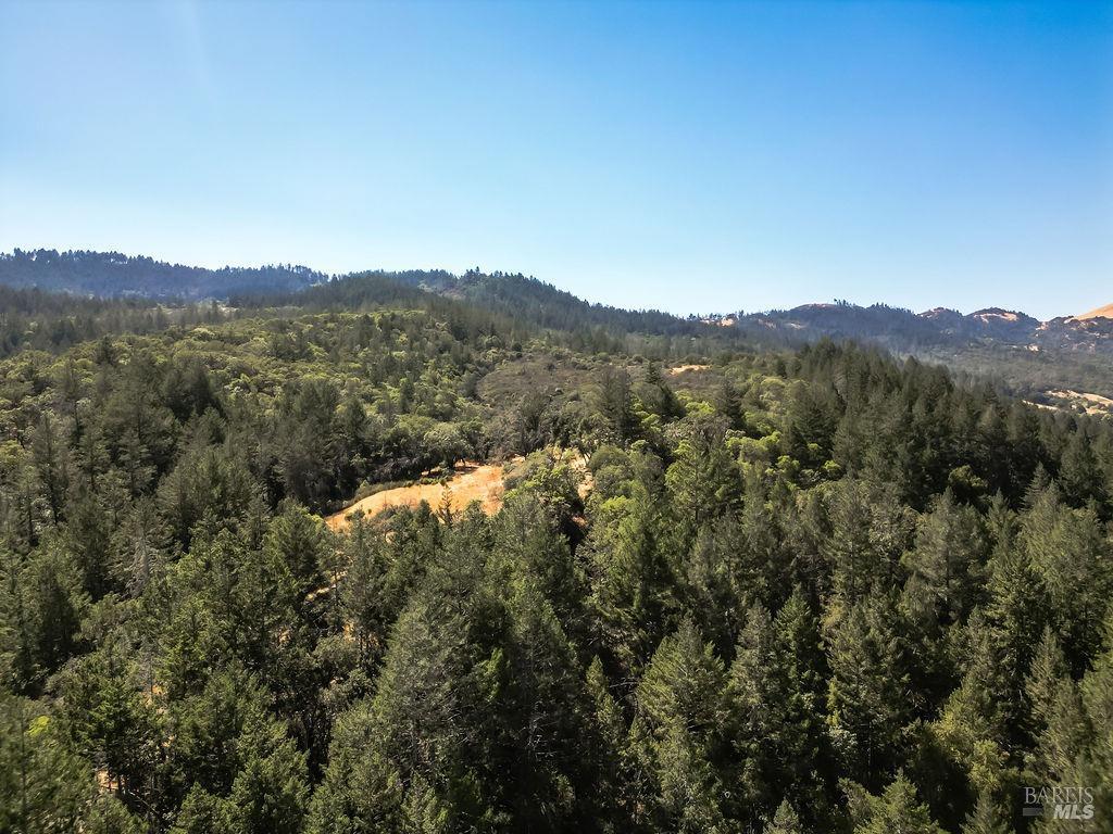Detail Gallery Image 24 of 26 For 0 Mount Veeder Rd, Saint Helena,  CA 94574 - – Beds | – Baths