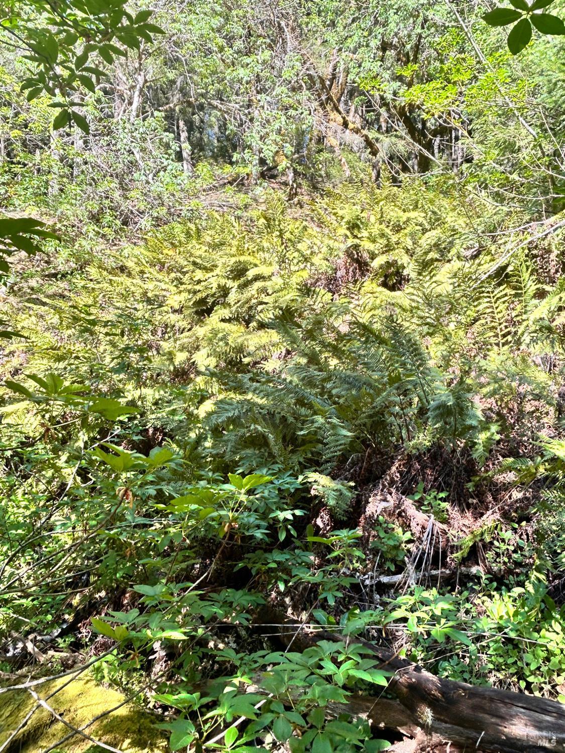 Detail Gallery Image 8 of 22 For 4100 Hansen Ranch Rd, Piercy,  CA 95587 - – Beds | – Baths