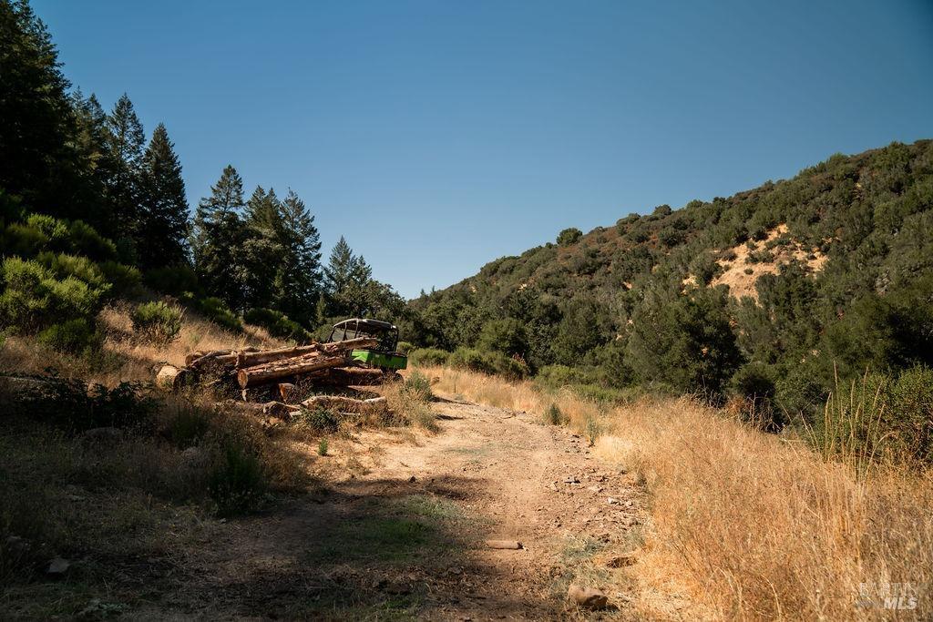 Detail Gallery Image 22 of 26 For 0 Mount Veeder Rd, Saint Helena,  CA 94574 - – Beds | – Baths