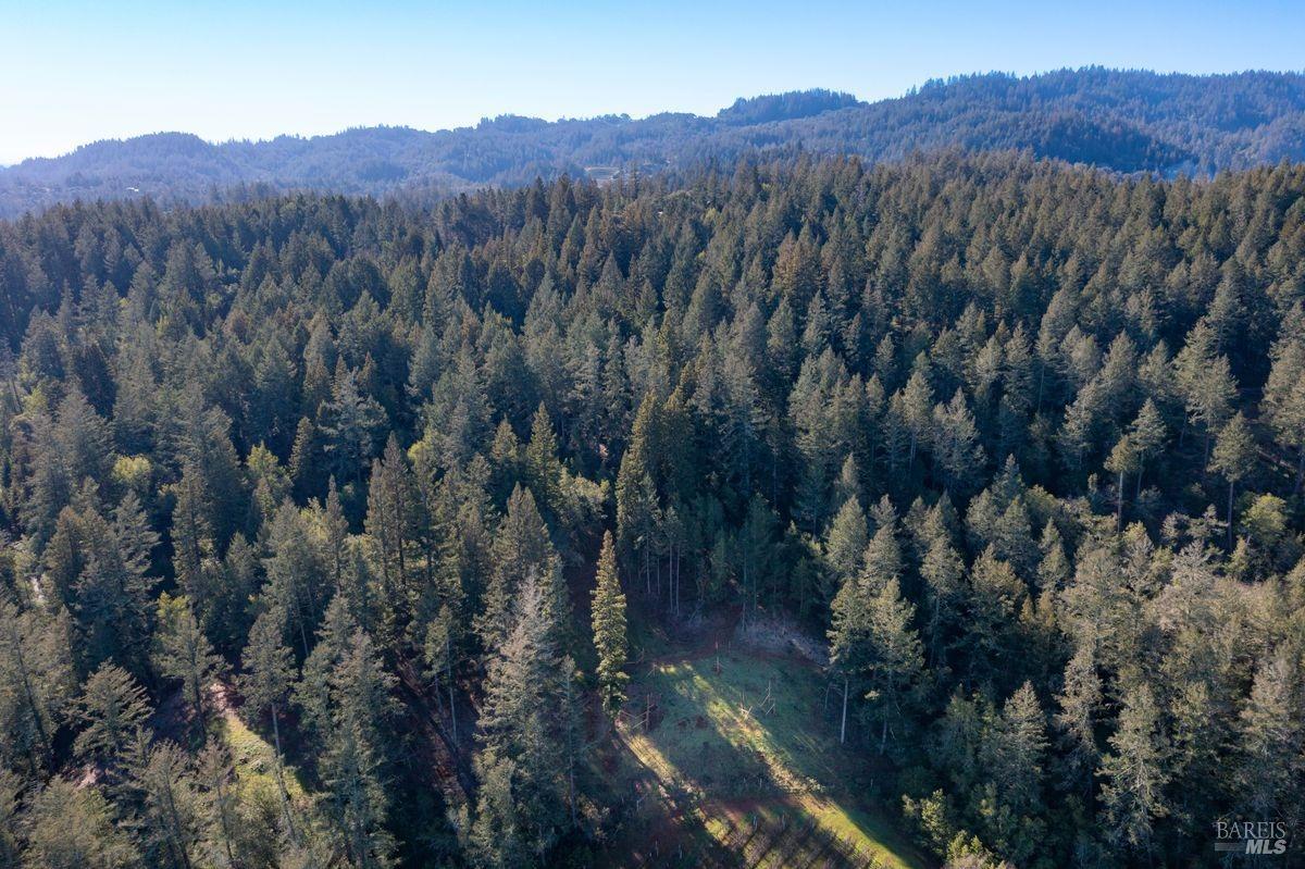 Detail Gallery Image 7 of 43 For 3210 W Dry Creek Rd, Healdsburg,  CA 95448 - – Beds | – Baths