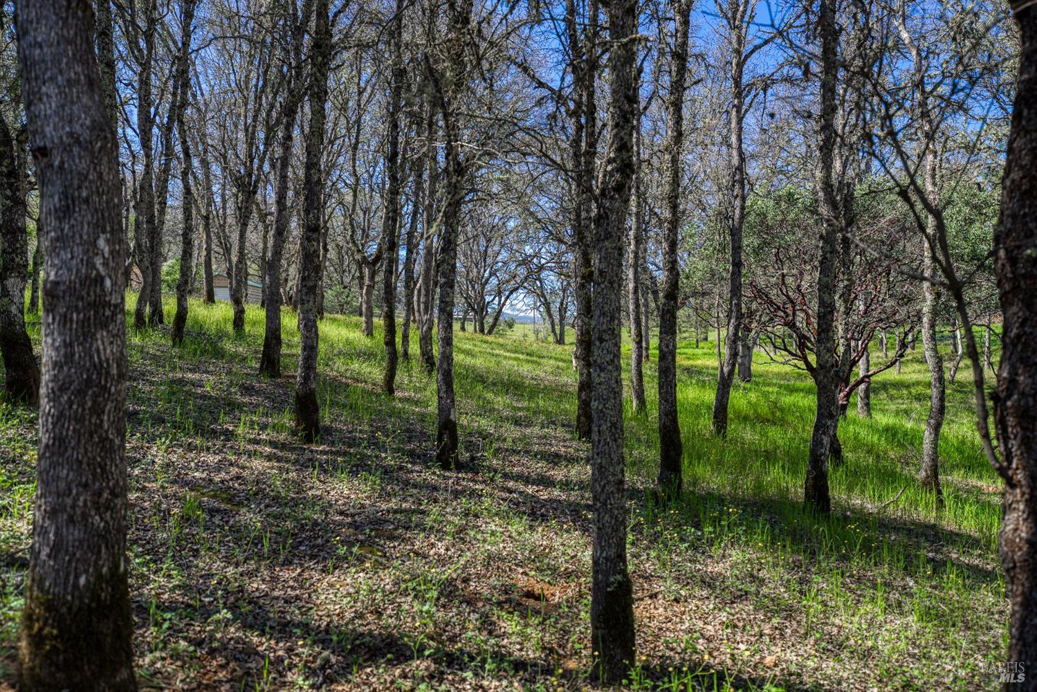 Detail Gallery Image 69 of 75 For 1001 Louis Way, Lakeport,  CA 95453 - 3 Beds | 2/1 Baths
