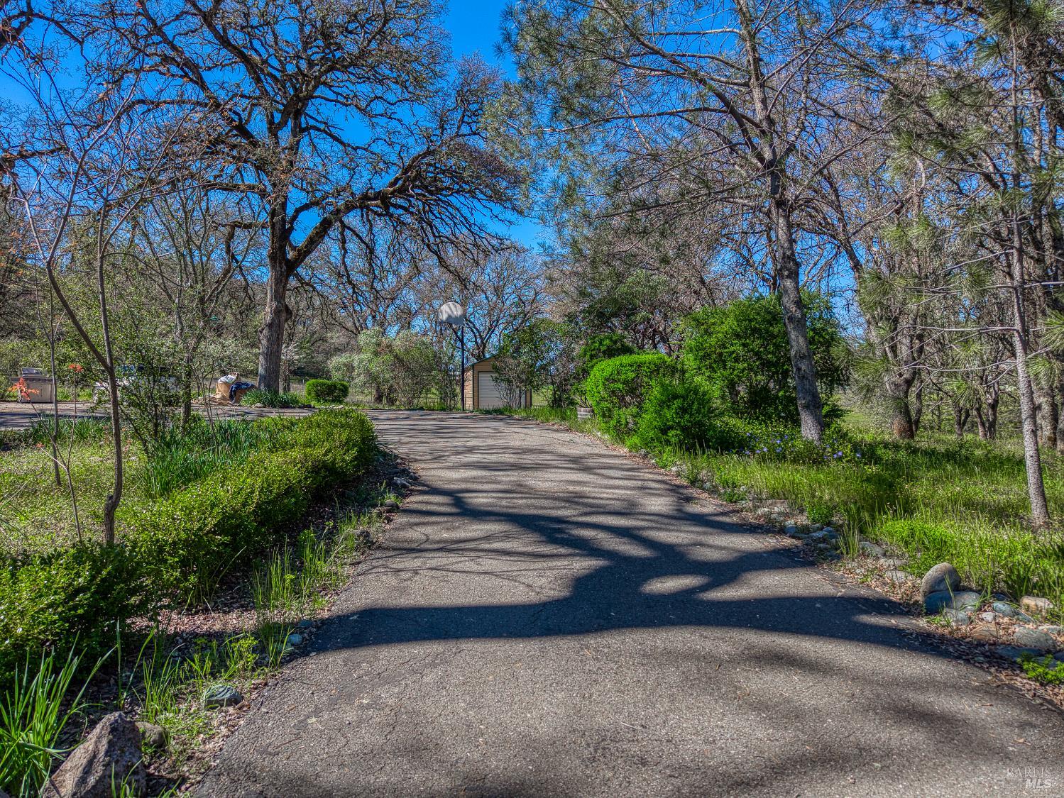 Detail Gallery Image 7 of 75 For 1001 Louis Way, Lakeport,  CA 95453 - 3 Beds | 2/1 Baths