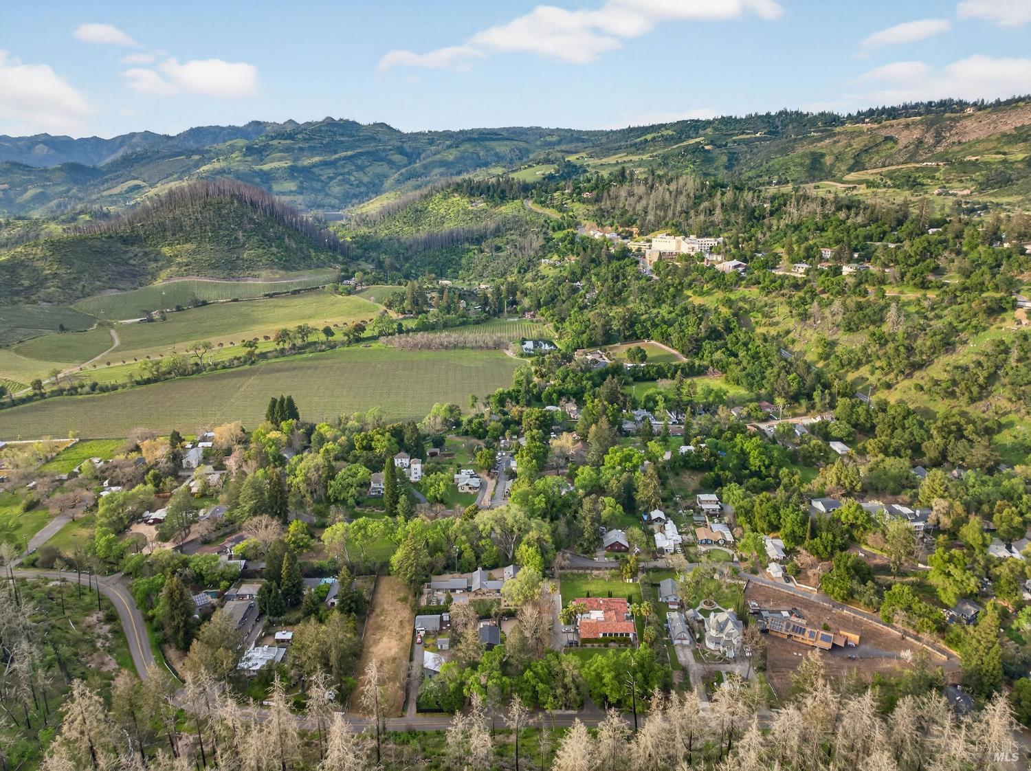 Detail Gallery Image 14 of 20 For 420 Glass Mountain Rd, Saint Helena,  CA 94574 - – Beds | – Baths