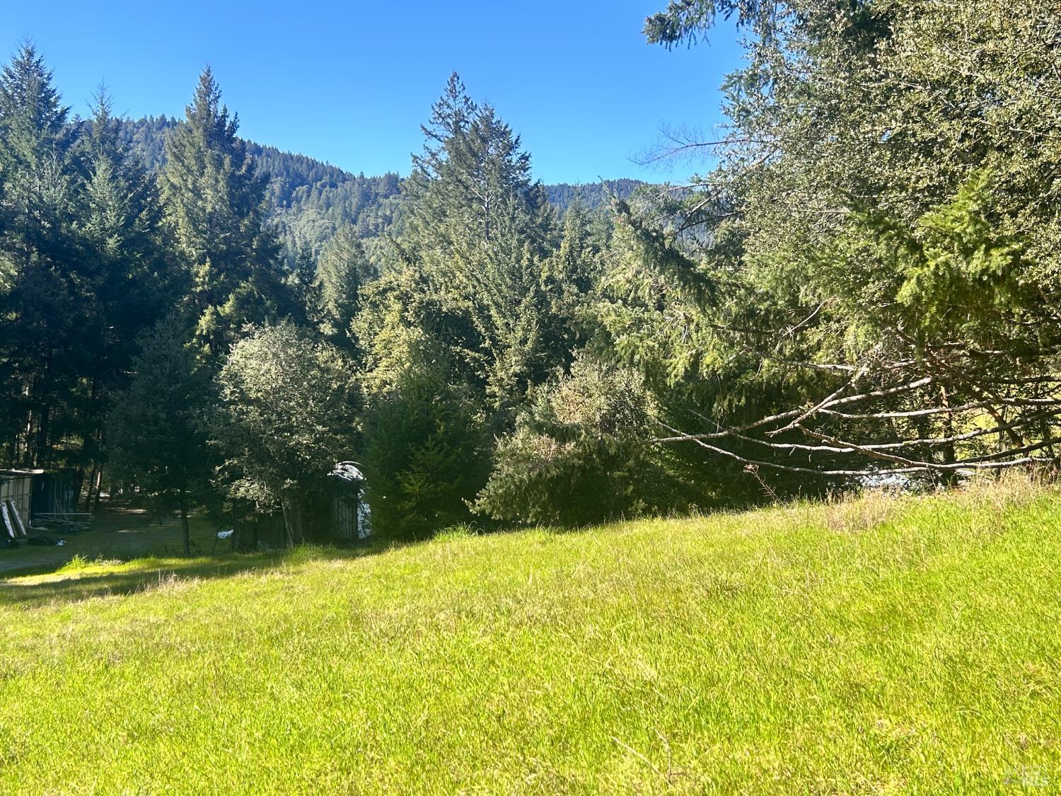 Detail Gallery Image 9 of 22 For 4100 Hansen Ranch Rd, Piercy,  CA 95587 - – Beds | – Baths